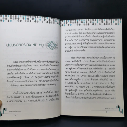 สู้หมีขี่กระทิง ไม่ชิงขายหมู - กระทิงเปลี่ยว รูปที่ 11