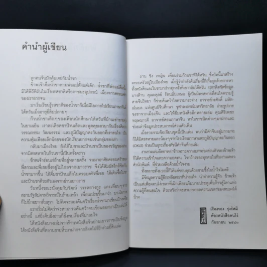 รวยรินกลิ่นชา - เรืองรอง รุ่งรัศมี รูปที่ 9