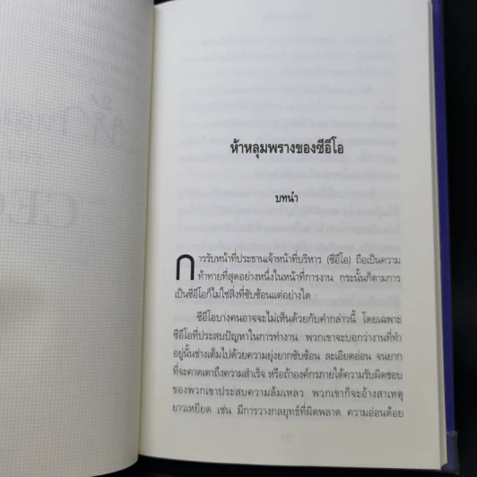 ห้าหลุมพรางของ CEO - แพทริก เลนซีโอนี่ รูปที่ 11