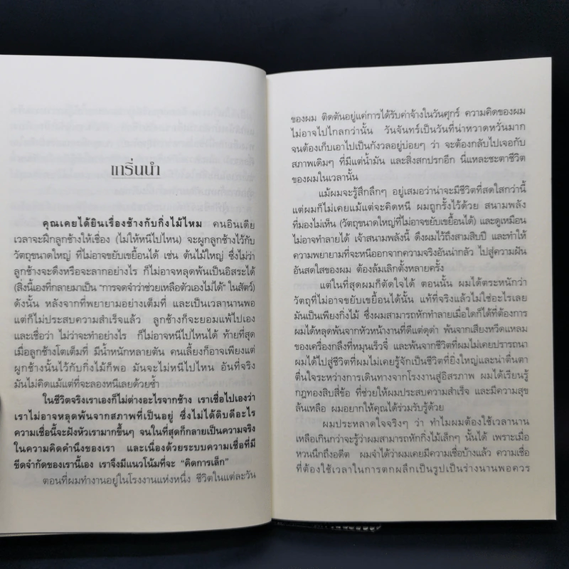 ช้างกับกิ่งไม้ The Elephant and The Twig รูปที่ 12