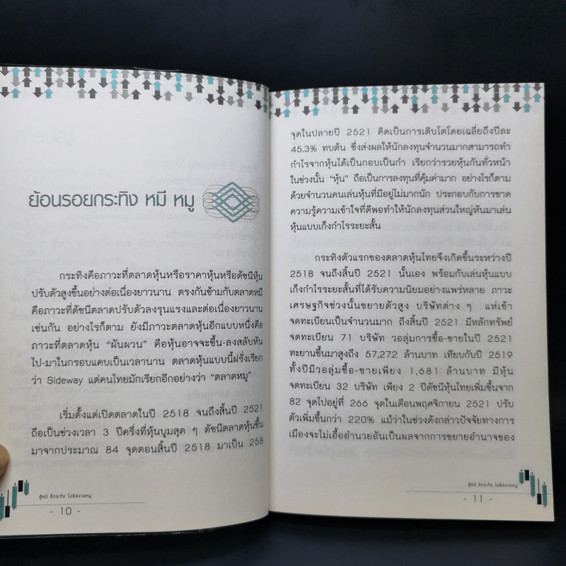 สู้หมีขี่กระทิง ไม่ชิงขายหมู - กระทิงเปลี่ยว รูปที่ 11
