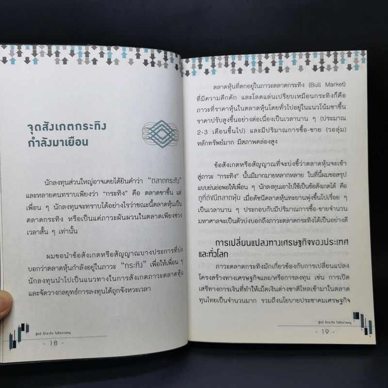สู้หมีขี่กระทิง ไม่ชิงขายหมู - กระทิงเปลี่ยว รูปที่ 12