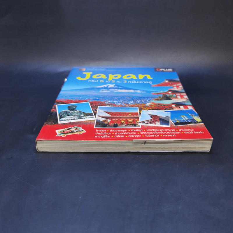 Japan ญี่ปุ่น ทริป 6 วัน 5 คืน 3 หมื่นเอาอยู่ รูปที่ 4