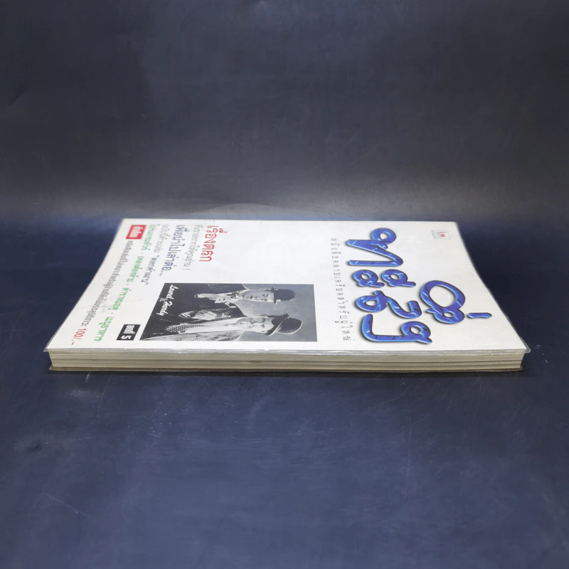 ทะลึ่ง ยกที่ 5 หนังสือคลายเครียดสำหรับผู้ใหญ่ รูปที่ 5