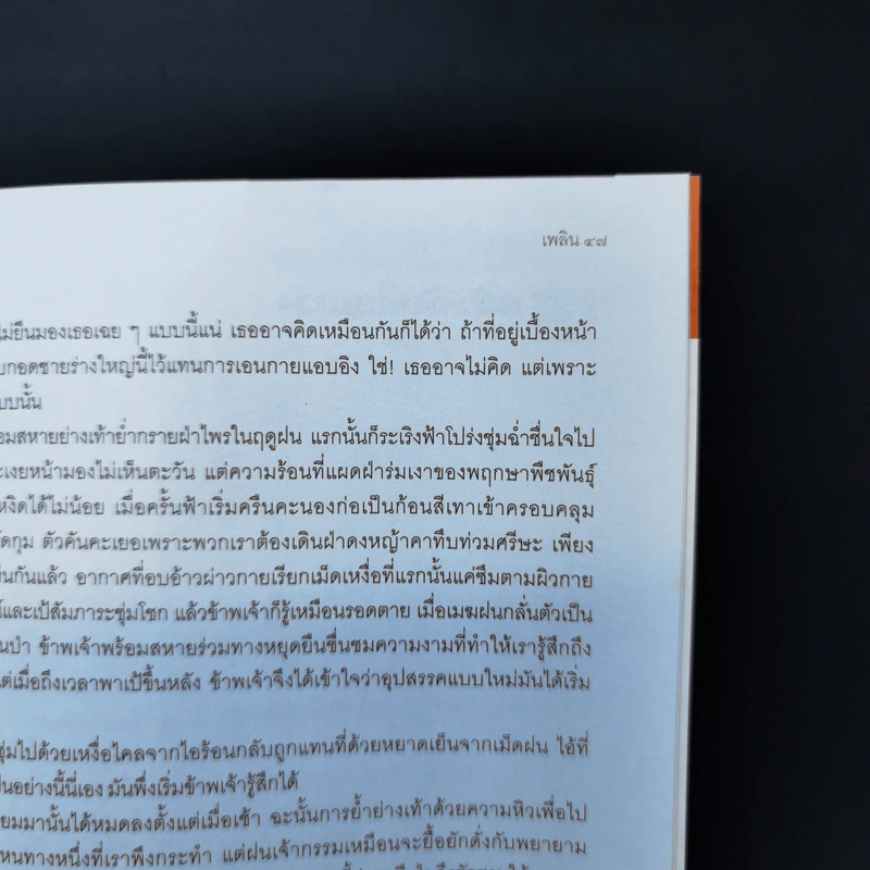 เพลิน ปีที่ 1 ฉบับที่ 4 ปราบดา หยุ่น รูปที่ 12
