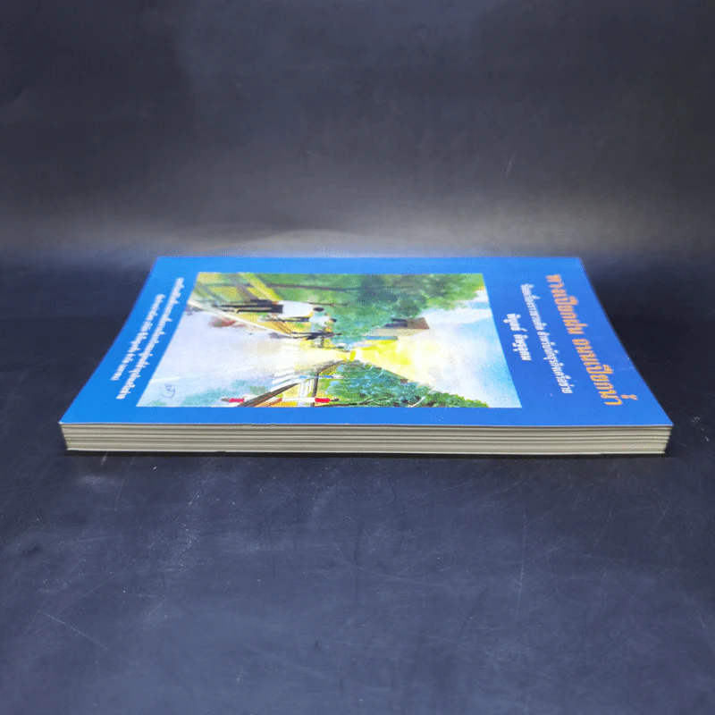 ทางเปียกฝน ถนนเปียกน้ำ เล่ม 1 - พิบูลย์ ดิษฐอุดม รูปที่ 5