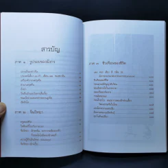 มังกรซ่อนลาย - เรืองรอง รุ่งรัศมี รูปที่ 9