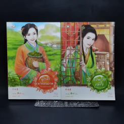 Boxset นิยายแจ่มใสจีน ชุดหลุมพรางเสน่หา 4 เล่ม รูปที่ 11