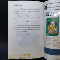 เรื่องของธัญญา - วาณิช จรุงกิจอนันต์ รูปที่ 10