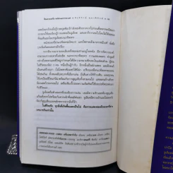 จีนควบฝรั่ง หนังนอกกระแส - สิทธิรักษ์ ตุลาพิทักษ์ รูปที่ 11