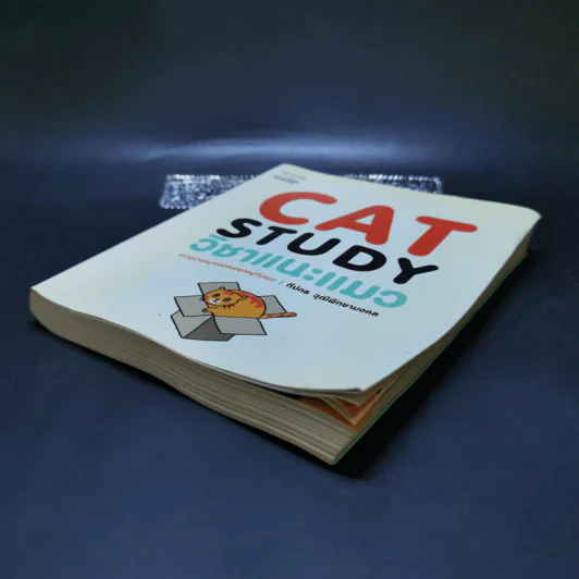 Cat Study วิชาแนะแมว - ทีปกร วุฒิพิทยามงคล รูปที่ 7