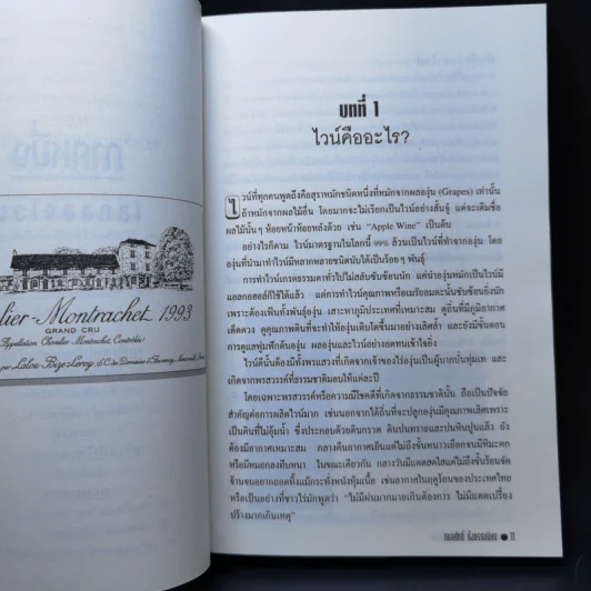 โลกของไวน์ ถิ่นเมรัยทั่วพิภพ - กมลศักดิ์ ตั้งธรรมนิยม รูปที่ 11