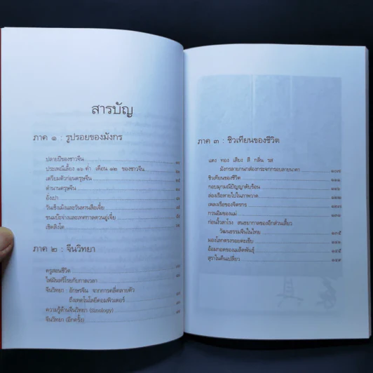 มังกรซ่อนลาย - เรืองรอง รุ่งรัศมี รูปที่ 9