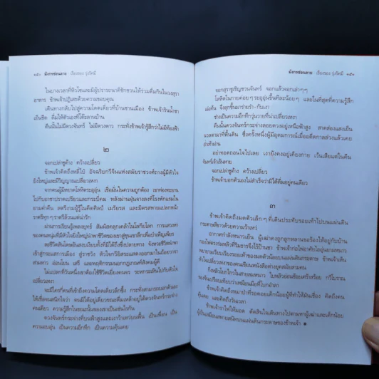 มังกรซ่อนลาย - เรืองรอง รุ่งรัศมี รูปที่ 12