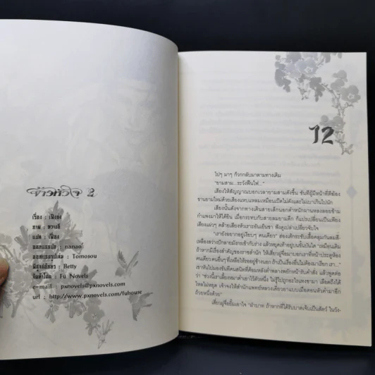 นิยายวาย จ้าวหัวใจ 2 เล่มจบ - เฟิ่งน่ง รูปที่ 9