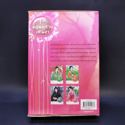 Boxset นิยายแจ่มใสจีน ชุดหลุมพรางเสน่หา 4 เล่ม รูปที่ 2