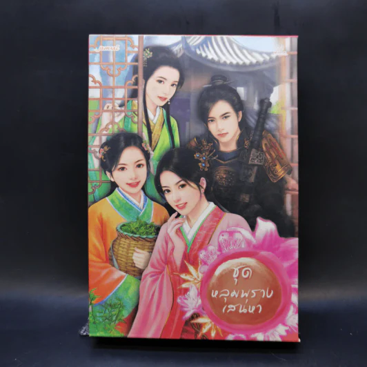 Boxset นิยายแจ่มใสจีน ชุดหลุมพรางเสน่หา 4 เล่ม รูปที่ 1