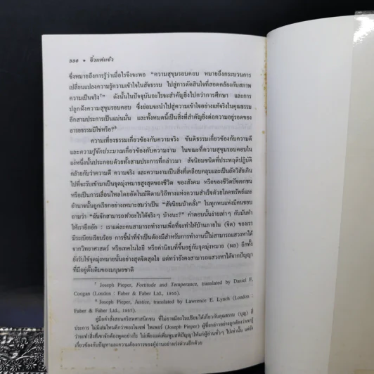 จิ๋วแต่แจ๋ว : เศรษฐศาสตร์เชิงพุทธ - E.F.Schumacher (อี.เอฟ.ชูเมกเกอร์) รูปที่ 11