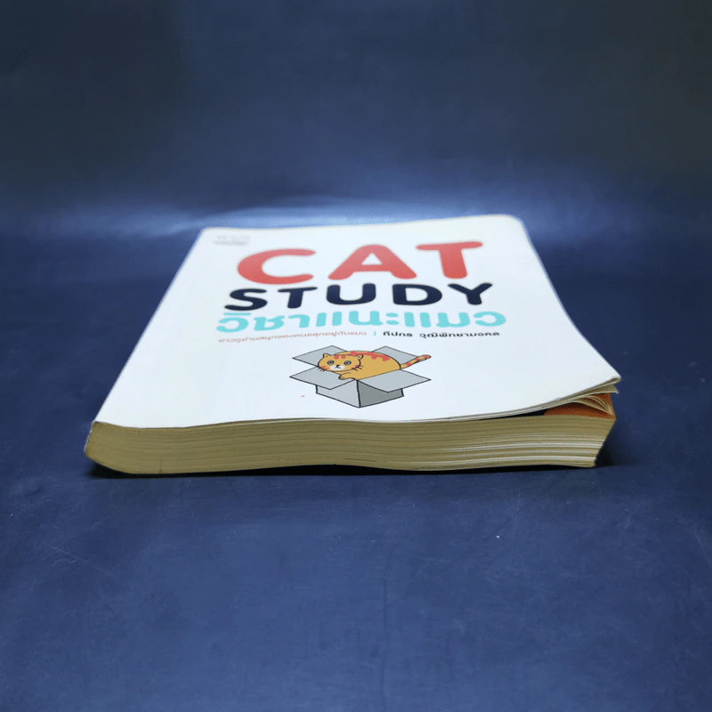 Cat Study วิชาแนะแมว - ทีปกร วุฒิพิทยามงคล รูปที่ 4