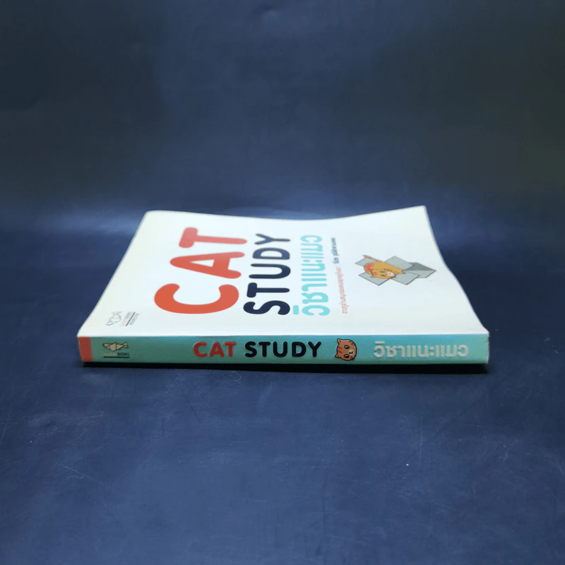 Cat Study วิชาแนะแมว - ทีปกร วุฒิพิทยามงคล รูปที่ 3