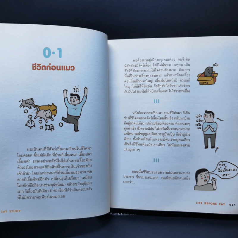 Cat Study วิชาแนะแมว - ทีปกร วุฒิพิทยามงคล รูปที่ 10