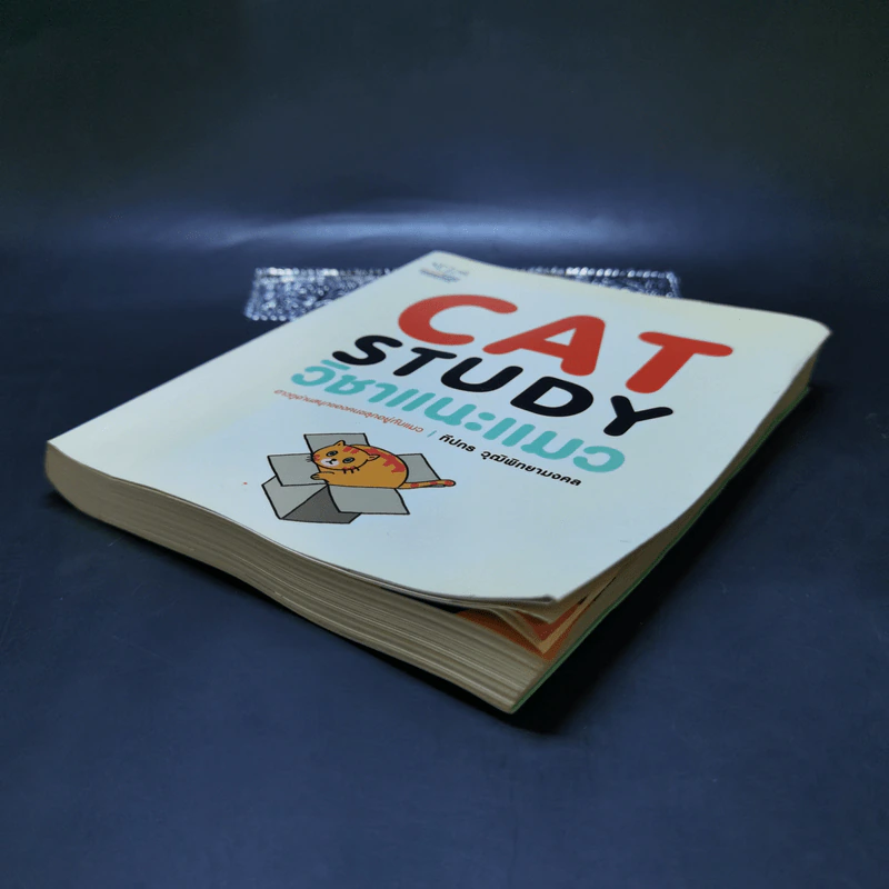 Cat Study วิชาแนะแมว - ทีปกร วุฒิพิทยามงคล รูปที่ 7