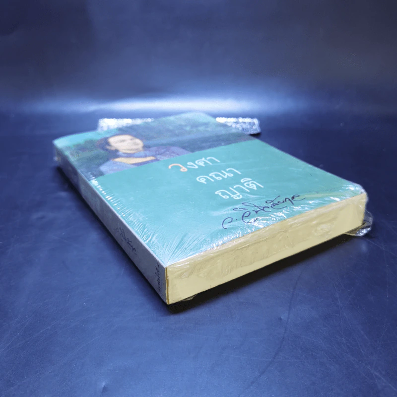 วงศาคณาญาติ - ว.วินิจฉัยกุล รูปที่ 8