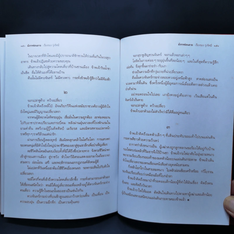 มังกรซ่อนลาย - เรืองรอง รุ่งรัศมี รูปที่ 12