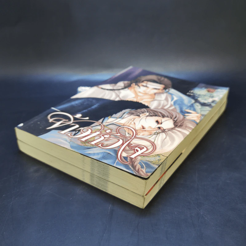 นิยายวาย จ้าวหัวใจ 2 เล่มจบ - เฟิ่งน่ง รูปที่ 7