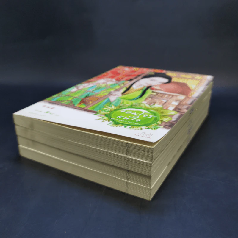 Boxset นิยายแจ่มใสจีน ชุดหลุมพรางเสน่หา 4 เล่ม รูปที่ 9