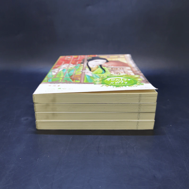Boxset นิยายแจ่มใสจีน ชุดหลุมพรางเสน่หา 4 เล่ม รูปที่ 6
