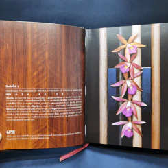 Boxset หอมทวนลม - ระพี สาคริก รูปที่ 12