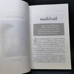 ภูตผยอง - ใบหนาด รูปที่ 9