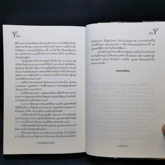 นิยายวาย สามีดีมีชัยไปกว่าครึ่ง - LuaAimei รูปที่ 11