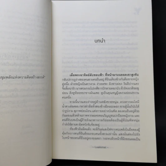 นิยายวาย สามีดีมีชัยไปกว่าครึ่ง - LuaAimei รูปที่ 9