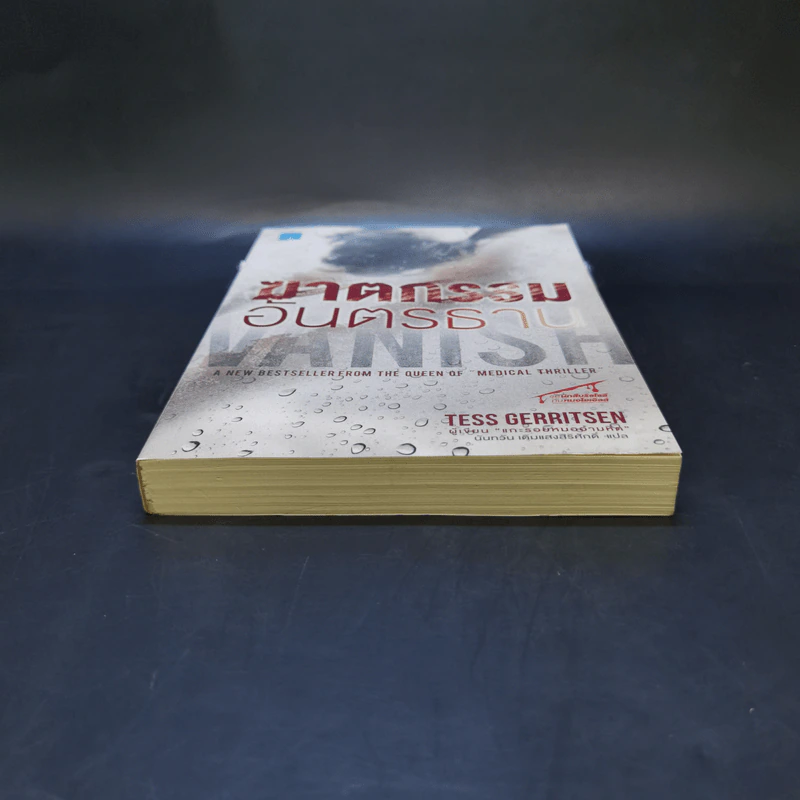 ฆาตกรรมอันตรธาน - Tess Gerritsen รูปที่ 4