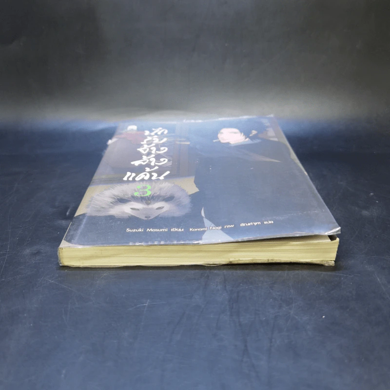 นักรับจ้างล้างแค้น เล่ม 3 รูปที่ 4