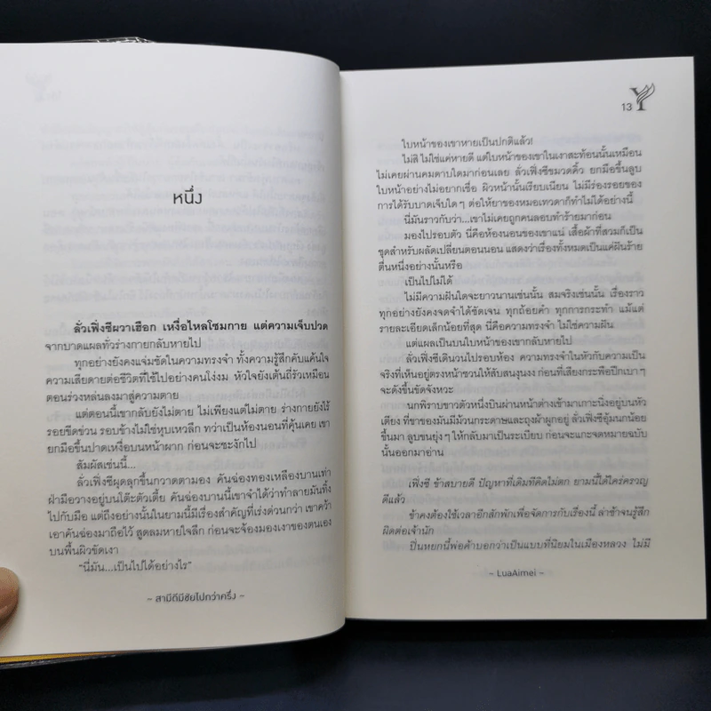 นิยายวาย สามีดีมีชัยไปกว่าครึ่ง - LuaAimei รูปที่ 10