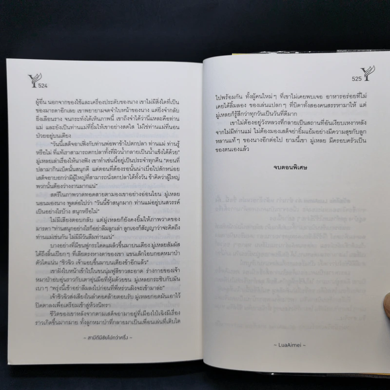 นิยายวาย สามีดีมีชัยไปกว่าครึ่ง - LuaAimei รูปที่ 11
