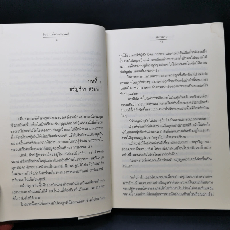 ร้อยเล่ห์มายามาลย์ ชุด ดอกไม้ลายพยัคฆ์ - ฉัตรฉาย รูปที่ 11