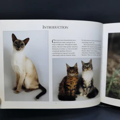 The Ultimate Guide to Cat Breeds - Louisa Somerville รูปที่ 10
