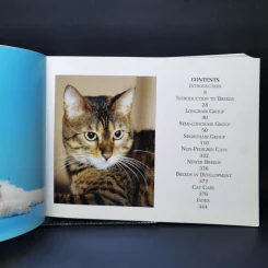 The Ultimate Guide to Cat Breeds - Louisa Somerville รูปที่ 9