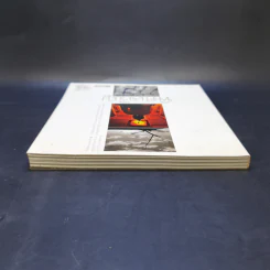 พิศเจริญ หนังสือภาพและอมตธรรมแห่งสองศรีพระศาสนา รูปที่ 6