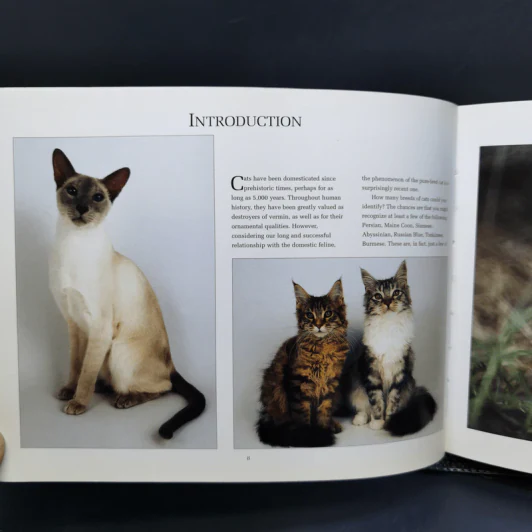 The Ultimate Guide to Cat Breeds - Louisa Somerville รูปที่ 10