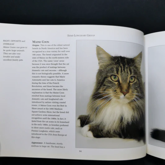 The Ultimate Guide to Cat Breeds - Louisa Somerville รูปที่ 12