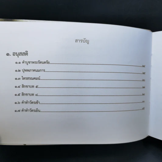 สวดธรรม - สุภีร์ ทุมทอง รูปที่ 11