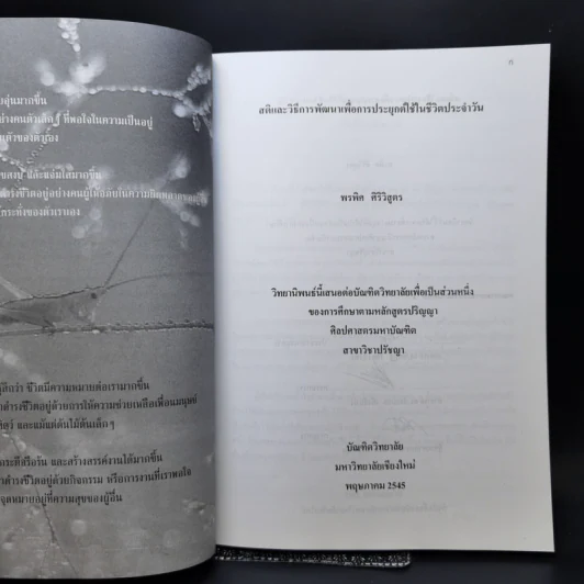 สติและวิธีการพัฒนาเพื่อการประยุกต์ใช้ในชีวิตประจำวัน - แม่ชีอัคคญาณี รูปที่ 8