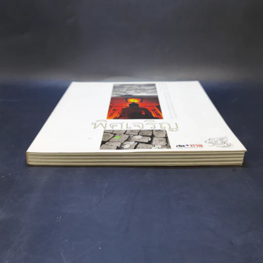 พิศเจริญ หนังสือภาพและอมตธรรมแห่งสองศรีพระศาสนา รูปที่ 4