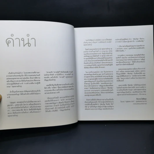 พิศเจริญ หนังสือภาพและอมตธรรมแห่งสองศรีพระศาสนา รูปที่ 9