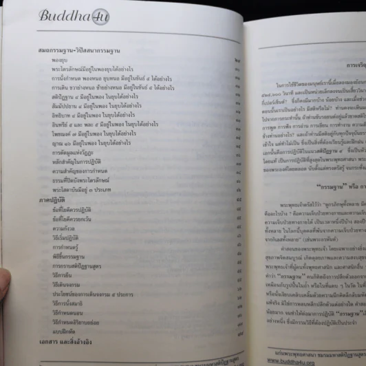 การเจริญสติด้วยวิปัสสนากรรมฐานในแนวสติปัฏฐาน 4 รูปที่ 12